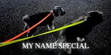 【オンライン2日間限定受注販売/MY NAME SPECIAL発売のお知らせ】