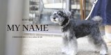 【9.4(FRI) 10:00 RELEASE】人気シリーズMY NAMEがリニューアルして登場！
