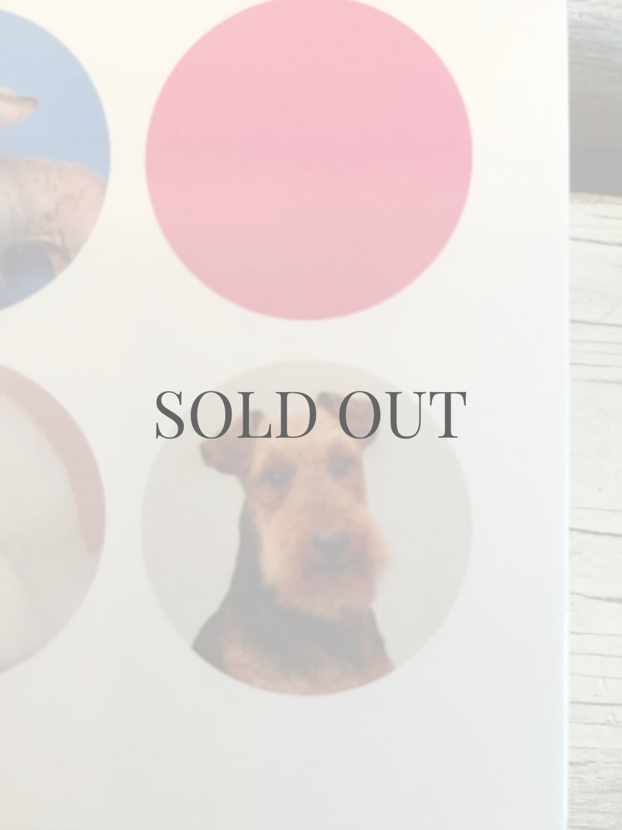 図鑑の表紙としてウェルシュテリアのチャンクさんを使用していただきました。