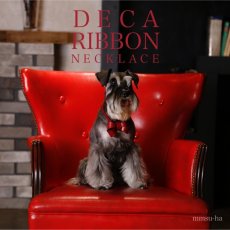 mmsu-ha(エムエムスーハ)のレザーDECAリボンレッド＋ネームカラー(迷子札)をつけたミニチュアシュナウザー