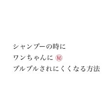 画像7: 【詰替用】mmsu-haプレミアムシャンプー/200ml (7)