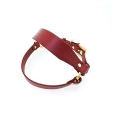 画像9: LEATHER HARNESS【レザーオーダー】 (9)