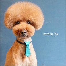 ネームカラー色：ダークブラウン/ネクタイ色：ターコイズ