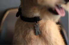 画像14: METAL su-ha kun COLLAR【レザーオーダー】 (14)