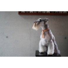 シュナウザーに似合う首輪リードセット/mmsu-ha レザーネクタイ首輪リード