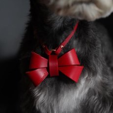 ミニチュアシュナウザー×DECAリボン mmsu-haオリジナルレザーリボンネックレス迷子札/犬用