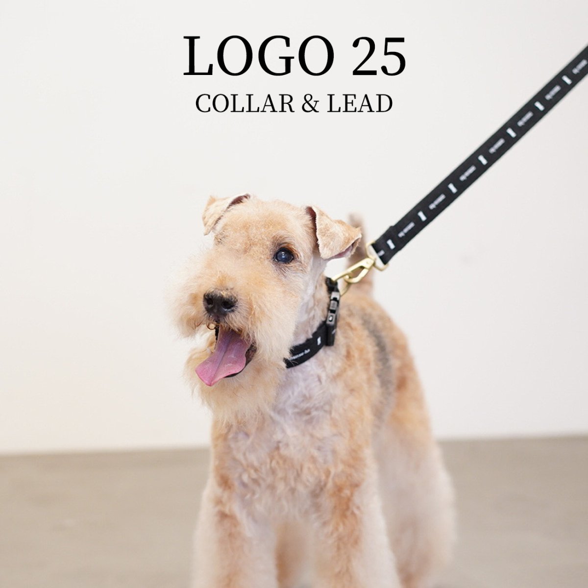 画像13: ロゴ25 首輪・リード/ショルダーリードセット【クロスオーダー】 (13)