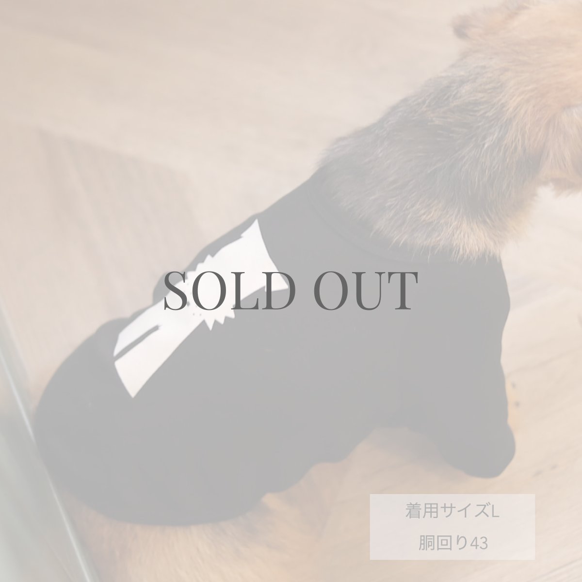 画像15: 【dog】mmsu-ha Tシャツ/ブラック (15)