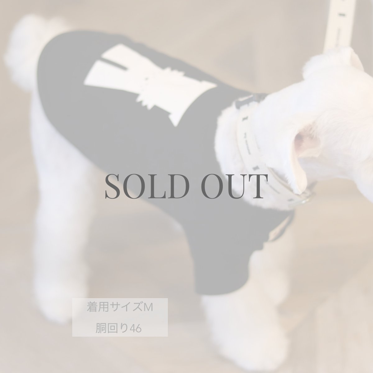 画像9: 【dog】mmsu-ha Tシャツ/ブラック (9)