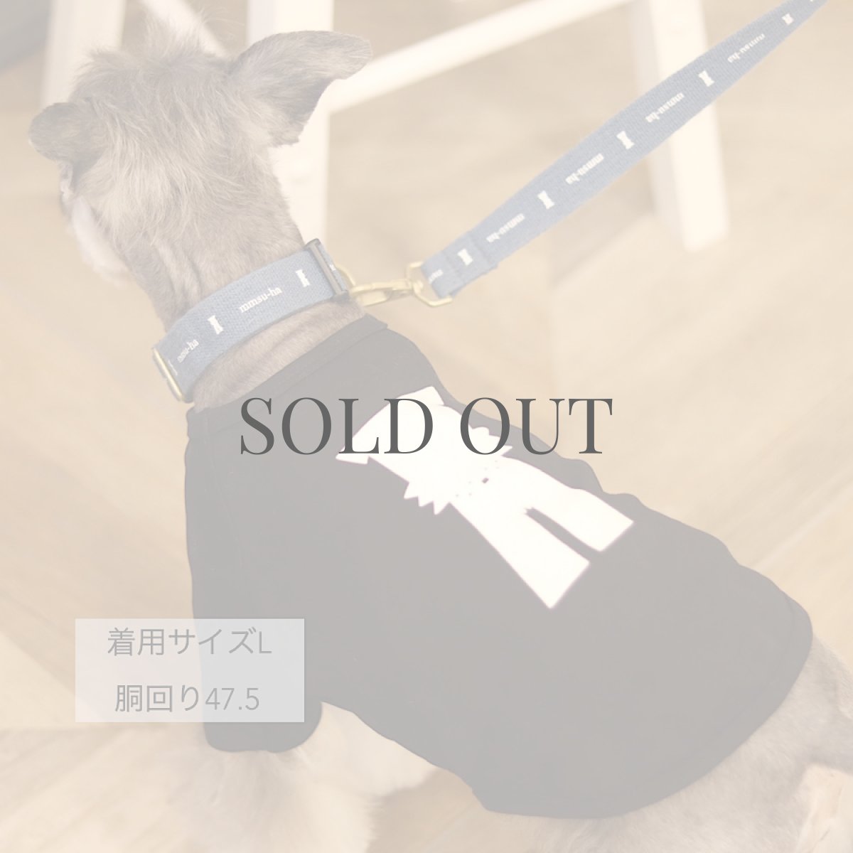 画像12: 【dog】mmsu-ha Tシャツ/ブラック (12)