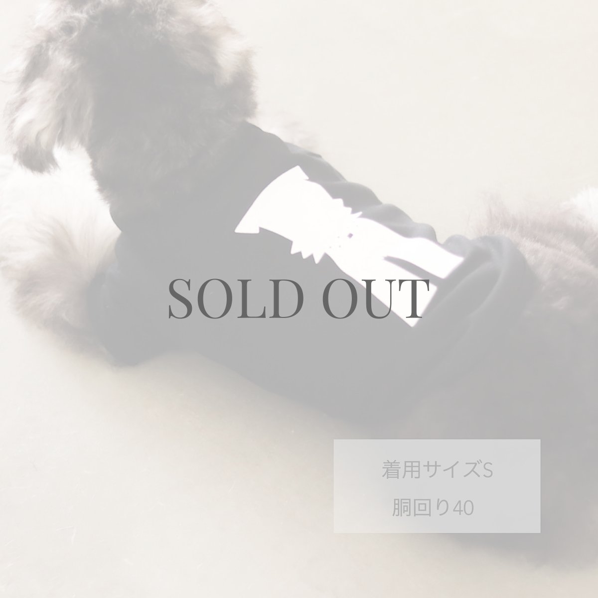 画像6: 【dog】mmsu-ha Tシャツ/ブラック (6)