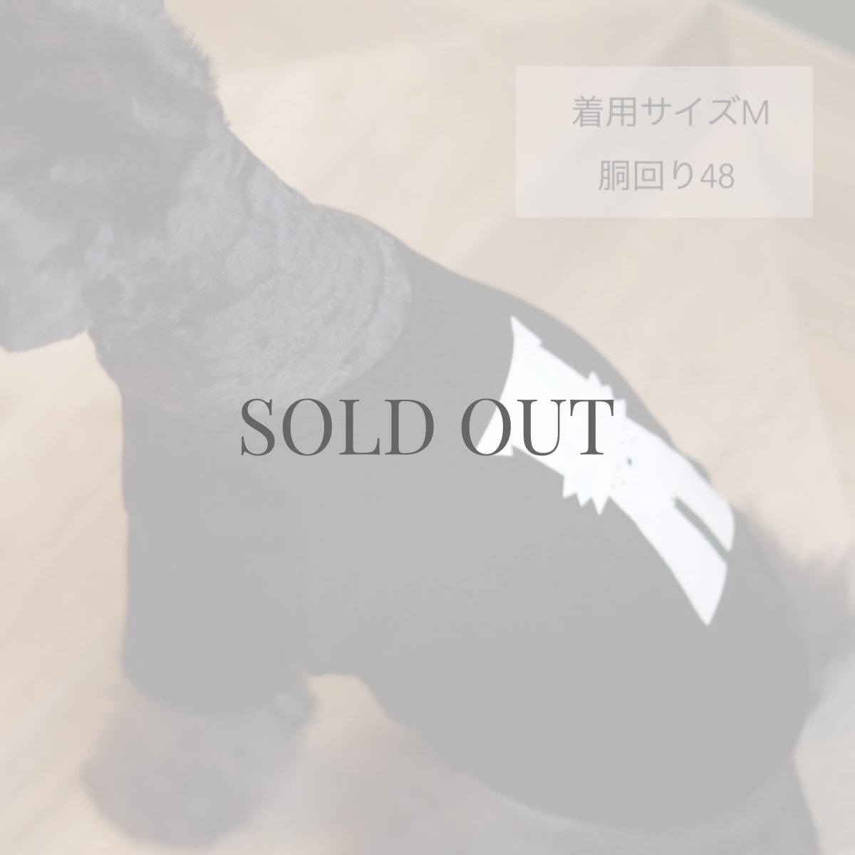 画像10: 【dog】mmsu-ha Tシャツ/ブラック (10)