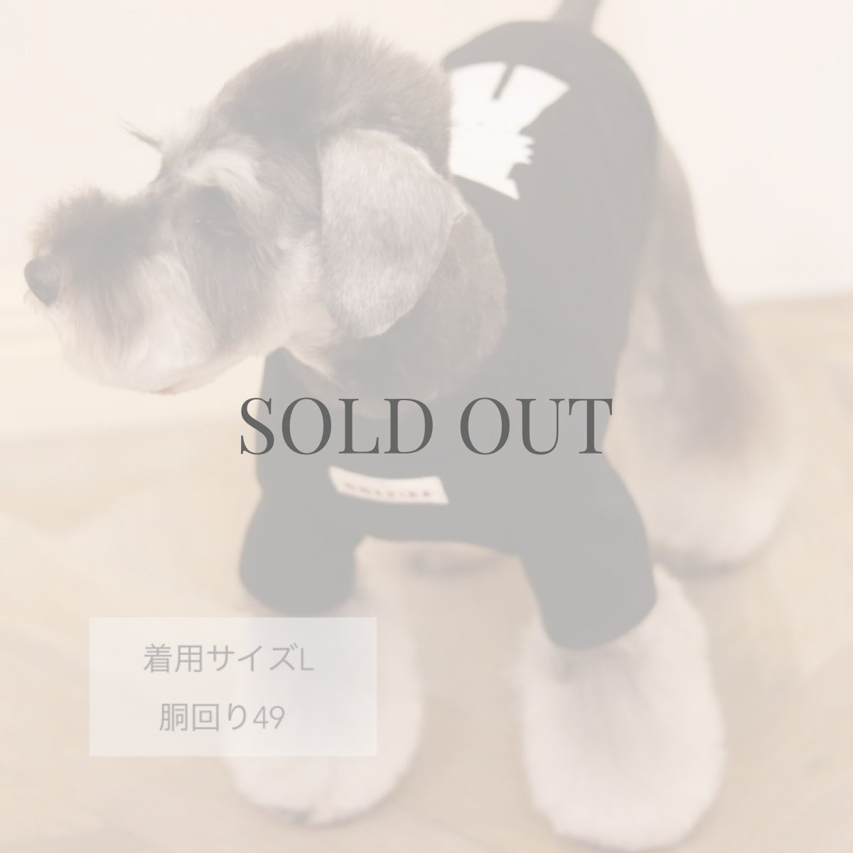 画像13: 【dog】mmsu-ha Tシャツ/ブラック (13)