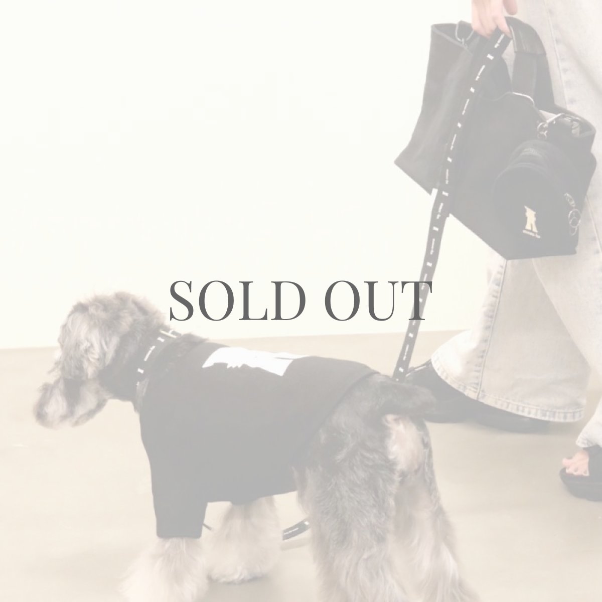 画像16: 【dog】mmsu-ha Tシャツ/ブラック (16)