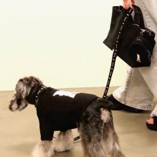 画像16: 【dog】su-ha kun  Tシャツ/ブラック (16)