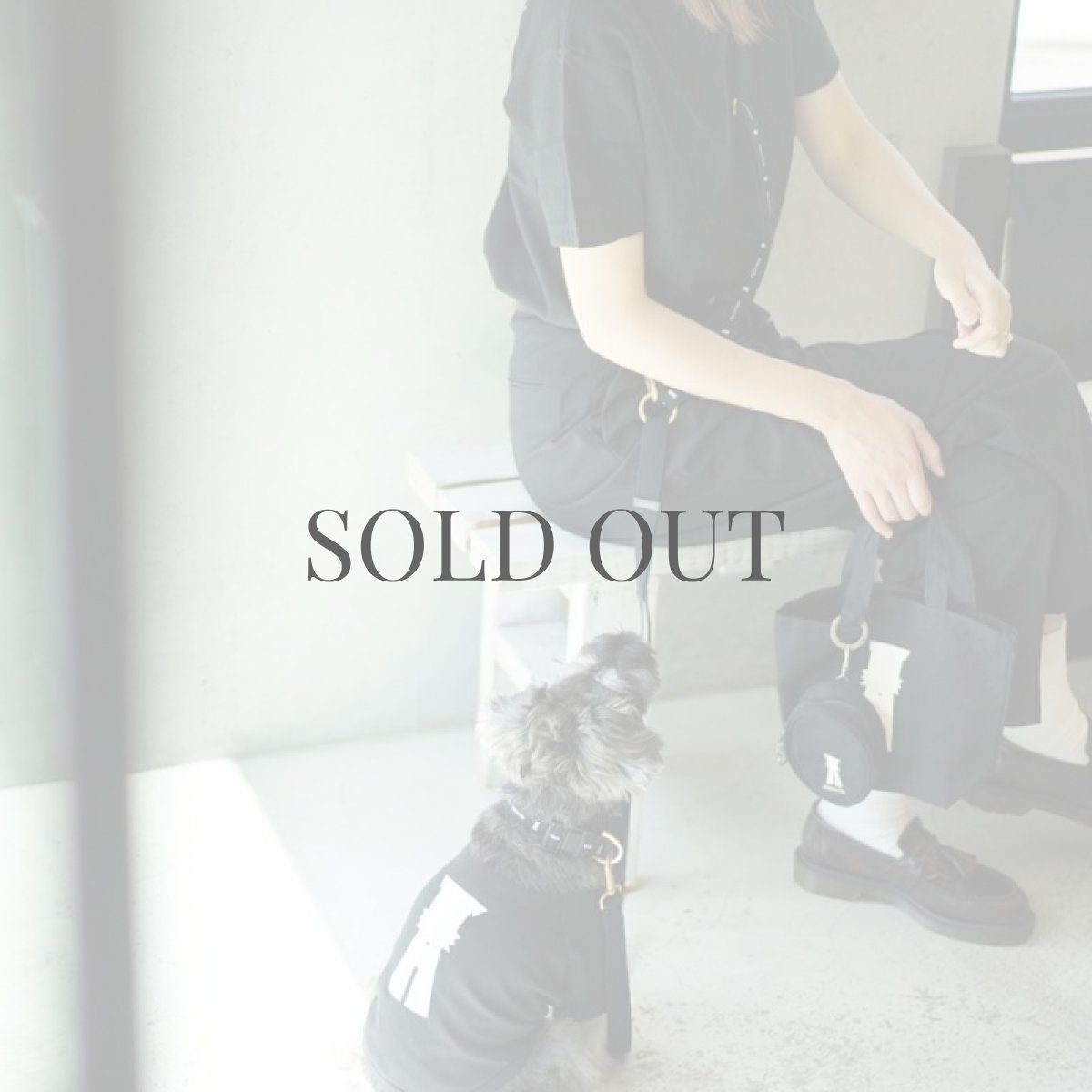 画像17: 【dog】mmsu-ha Tシャツ/ブラック (17)