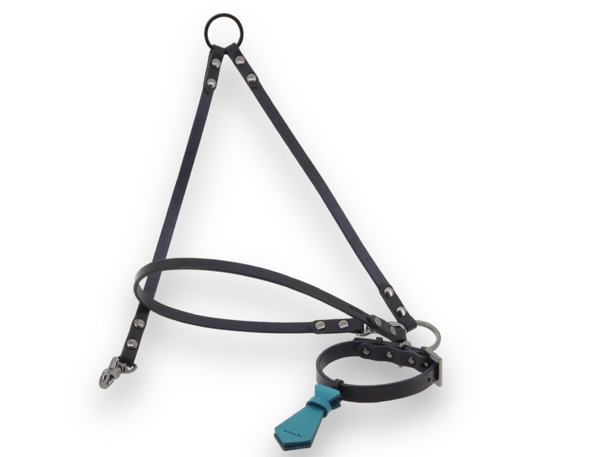 画像14: TIE 首輪・リードセット【レザーオーダー】 (14)