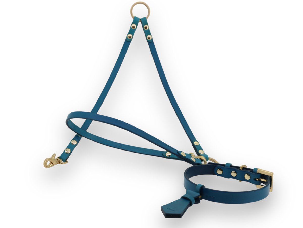 画像13: TIE 首輪・リードセット【レザーオーダー】 (13)