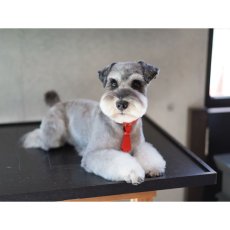 シュナウザーがカッコ良くなる首輪/ネクタイレザーカラー/mmsu-haレザー首輪