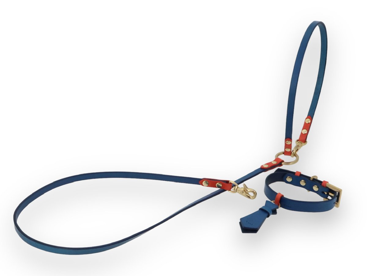 画像16: TIE 首輪・リードセット【レザーオーダー】 (16)