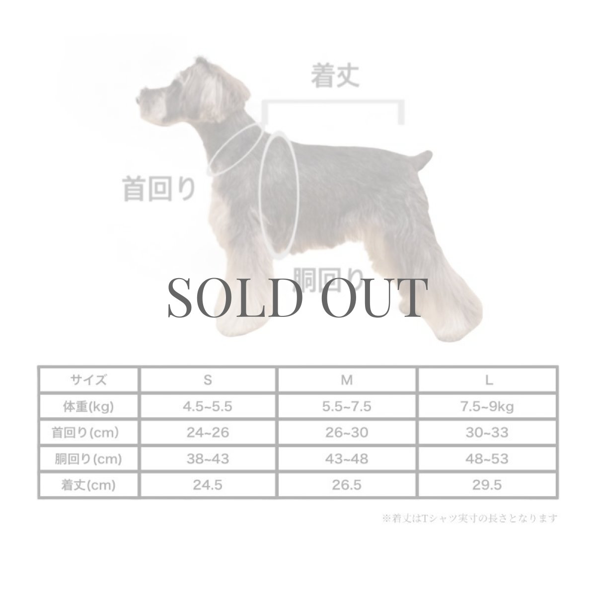 画像5: 【dog】mmsu-ha Tシャツ/ブラック (5)