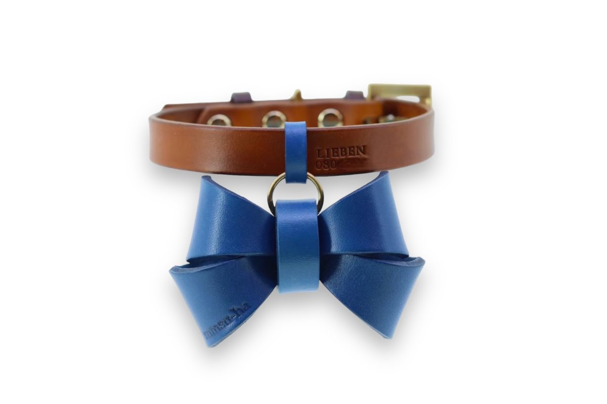 mmsu-ha エムエムスーハ FURICO RIBBON COLLAR首輪色:ブラウン リボン:ブルー ツリカン:ブルー サルカン:ダークブラウン 刻印:あり