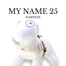 画像1: MY NAME 25 刺繍ハーネス【クロスオーダー】 (1)