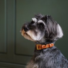 画像2: LEATHER COLLAR【レザーオーダー】 (2)