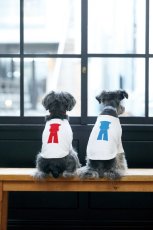 画像5: 【dog】su-ha kun  Tシャツ/ホワイト×ブルー (5)