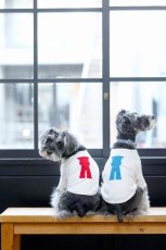 画像6: 【dog】su-ha kun  Tシャツ/ホワイト×レッド (6)