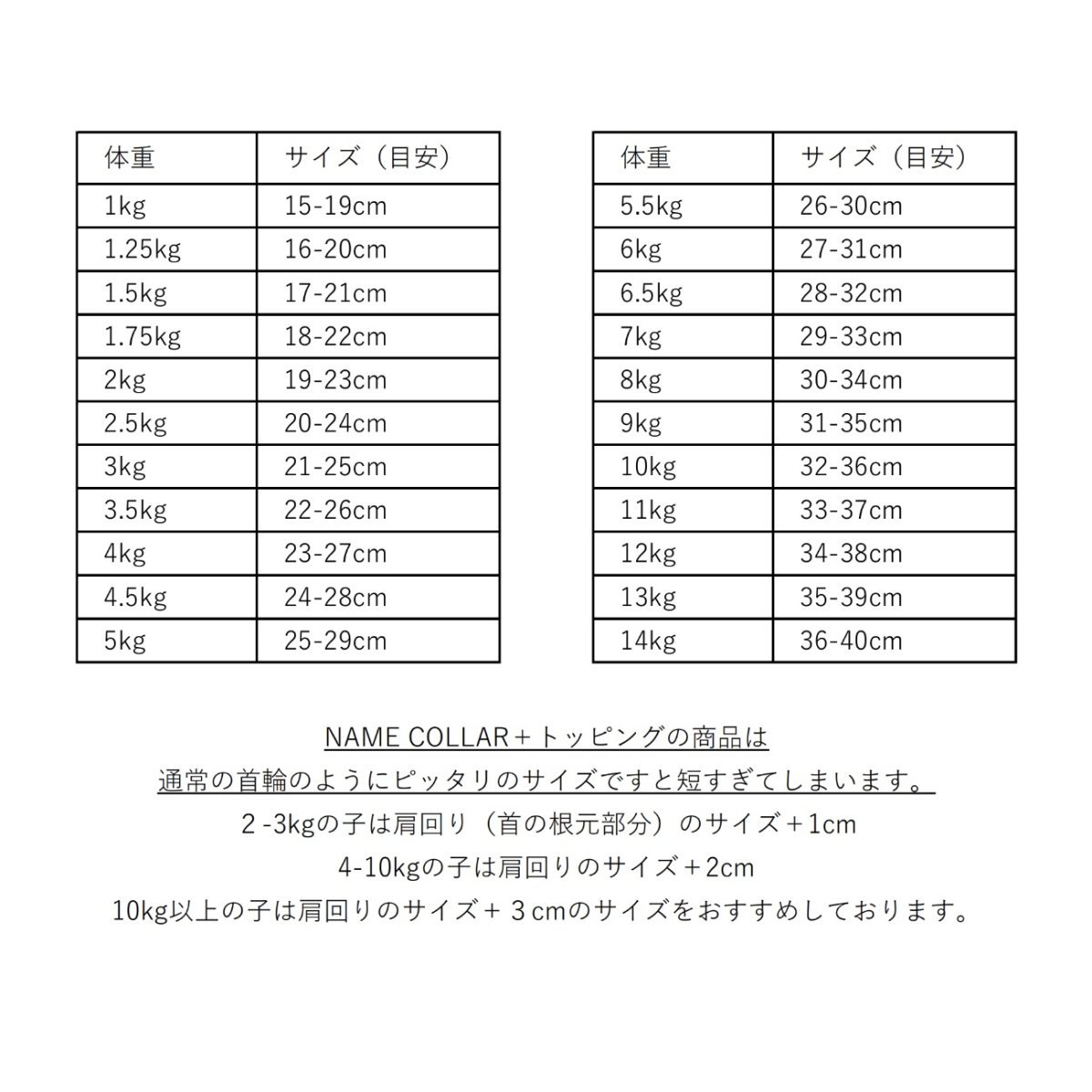 画像10: TIE + NAME COLLAR/迷子札【レザーオーダー】 (10)