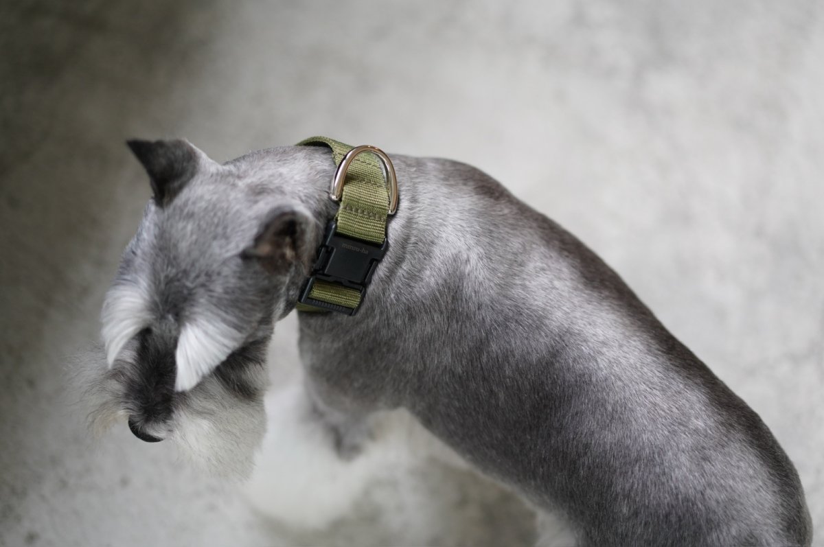 画像10: MY NAME 30 刺繍カラー・20 刺繍リードセット【クロスオーダー】 (10)