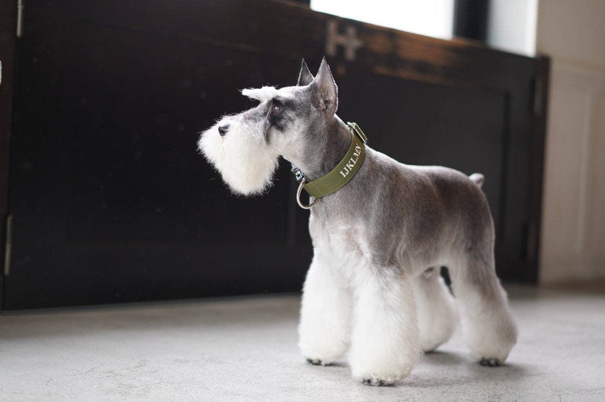 画像3: MY NAME 30 刺繍カラー・20 刺繍リードセット【クロスオーダー】 (3)