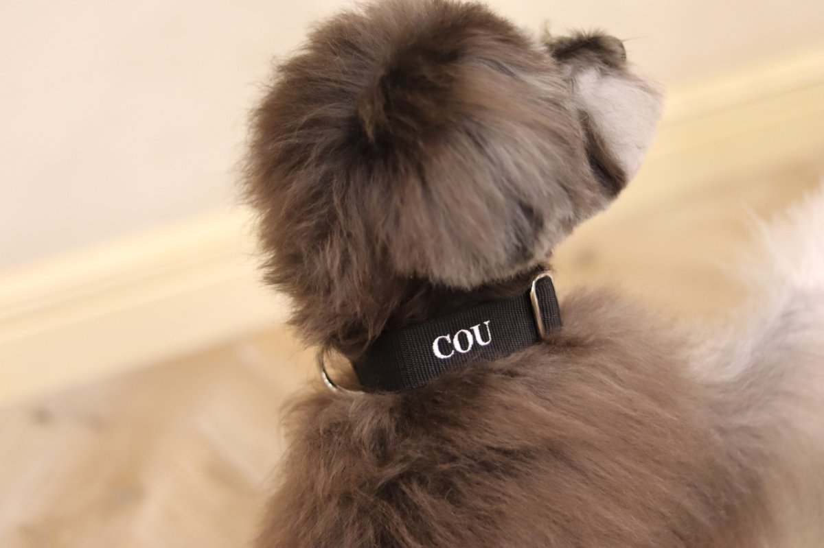 画像4: MY NAME 30 刺繍カラー・20 刺繍リードセット【クロスオーダー】 (4)