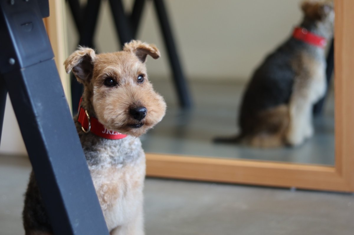 画像9: MY NAME 30 刺繍カラー・20 刺繍リードセット【クロスオーダー】 (9)