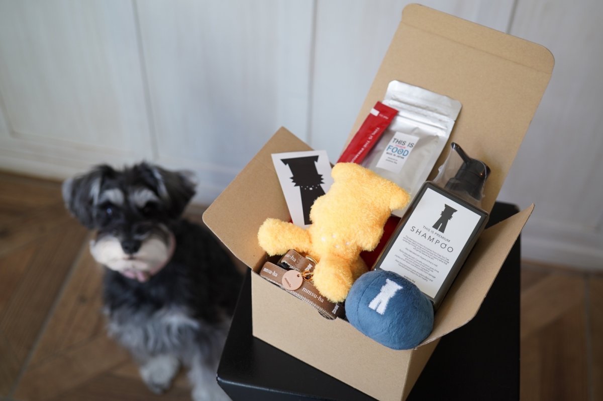 画像5: PUPPY BOX/パピーボックス〜はじめてのmmsu-ha〜 (5)