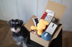 画像4: PUPPY BOX/パピーボックス〜はじめてのmmsu-ha〜 (4)