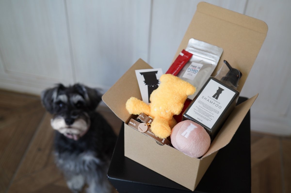 画像6: PUPPY BOX/パピーボックス〜はじめてのmmsu-ha〜 (6)