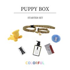 画像10: PUPPY BOX/パピーボックス〜はじめてのmmsu-ha〜 (10)