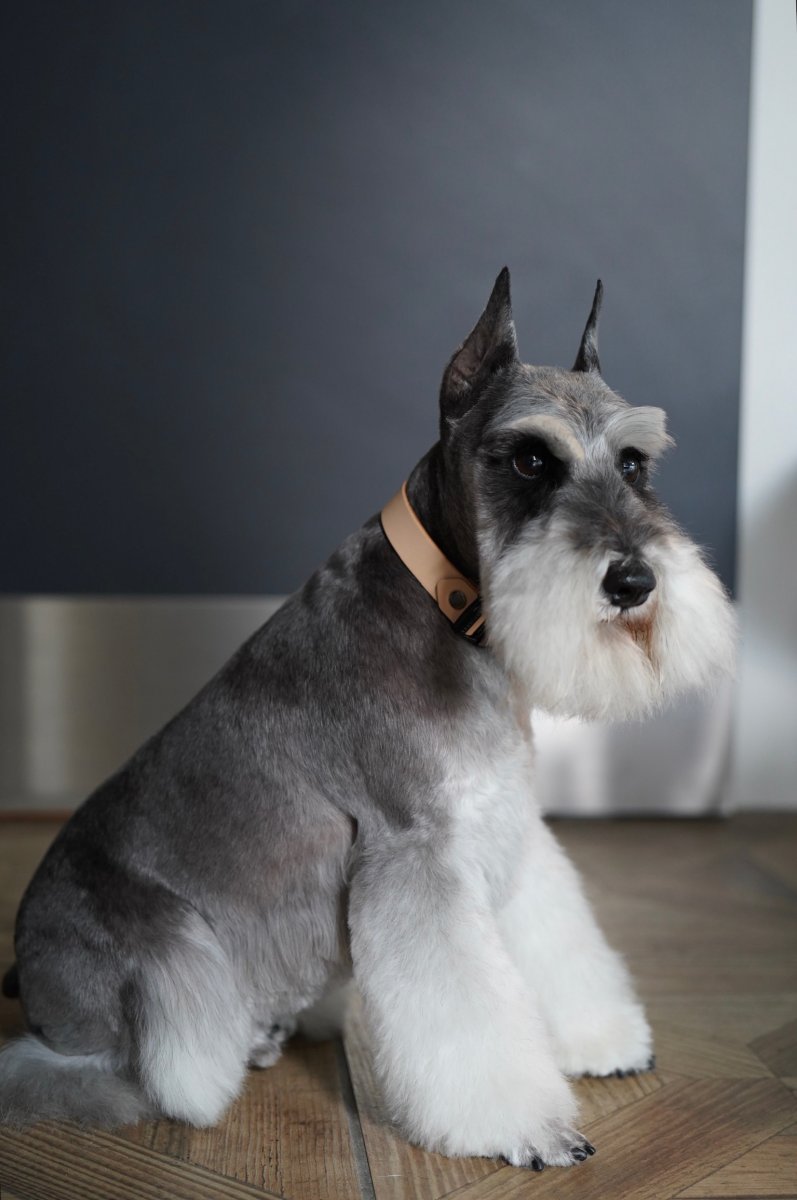 画像21: ONE SIZE COLLAR/ワンサイズカラー【レザーオーダー】 (21)