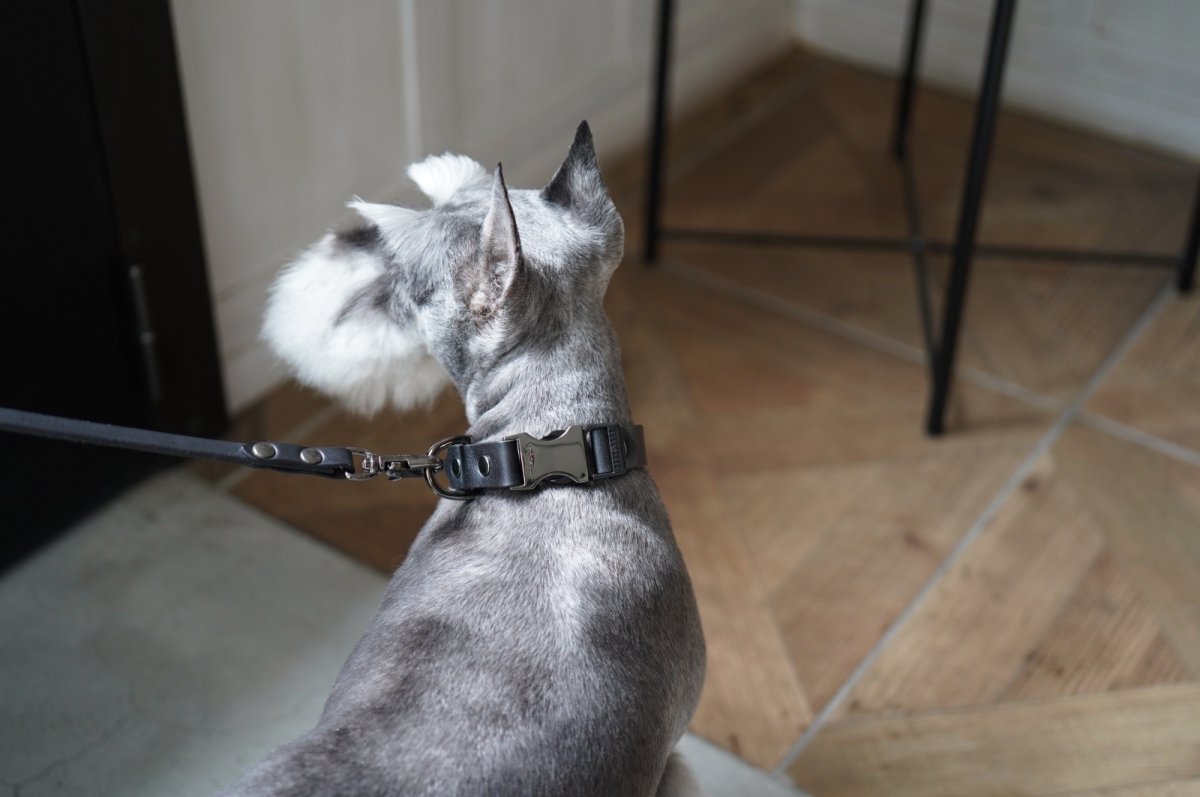 画像11: ONE SIZE COLLAR/ワンサイズカラー【レザーオーダー】 (11)