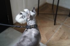 画像11: ONE SIZE COLLAR/ワンサイズカラー【レザーオーダー】 (11)