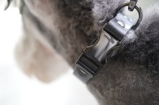 画像24: ONE SIZE COLLAR/ワンサイズカラー【レザーオーダー】 (24)