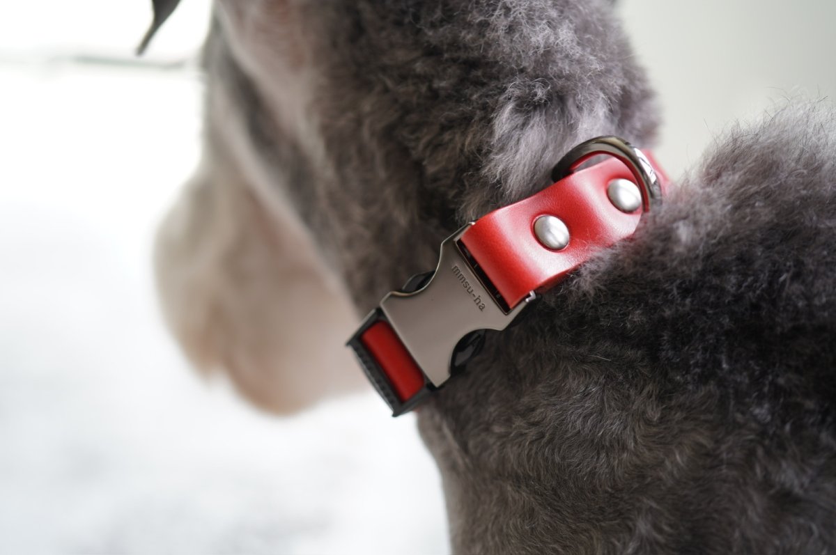 画像10: ONE SIZE COLLAR/ワンサイズカラー【レザーオーダー】 (10)