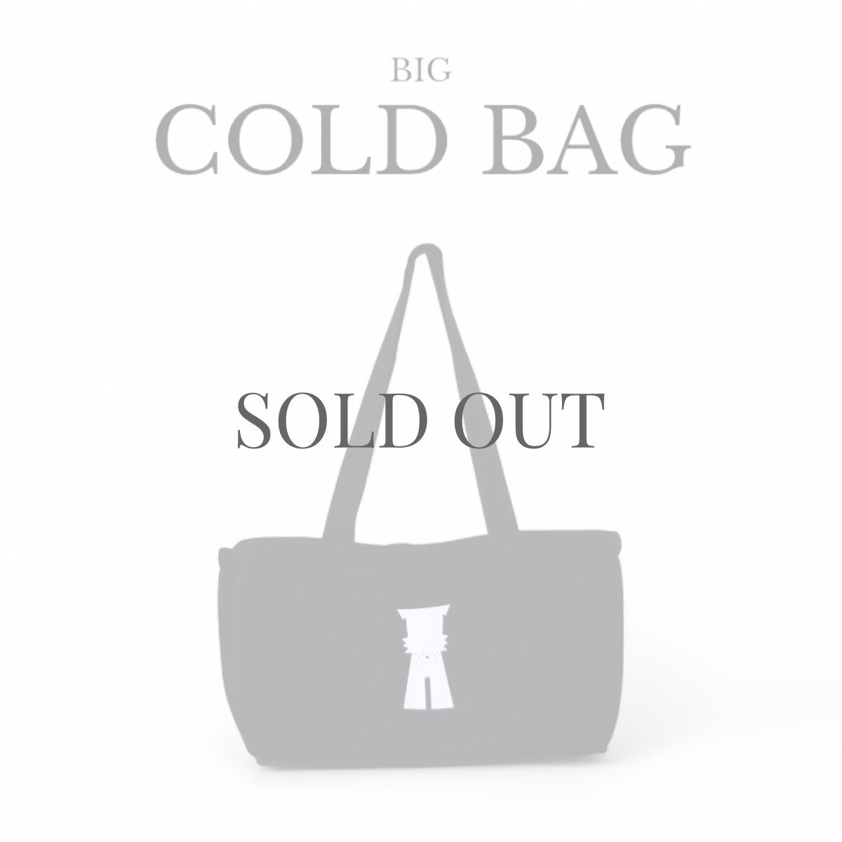 画像1: BIG COLD BAG【su-ha kun】 (1)