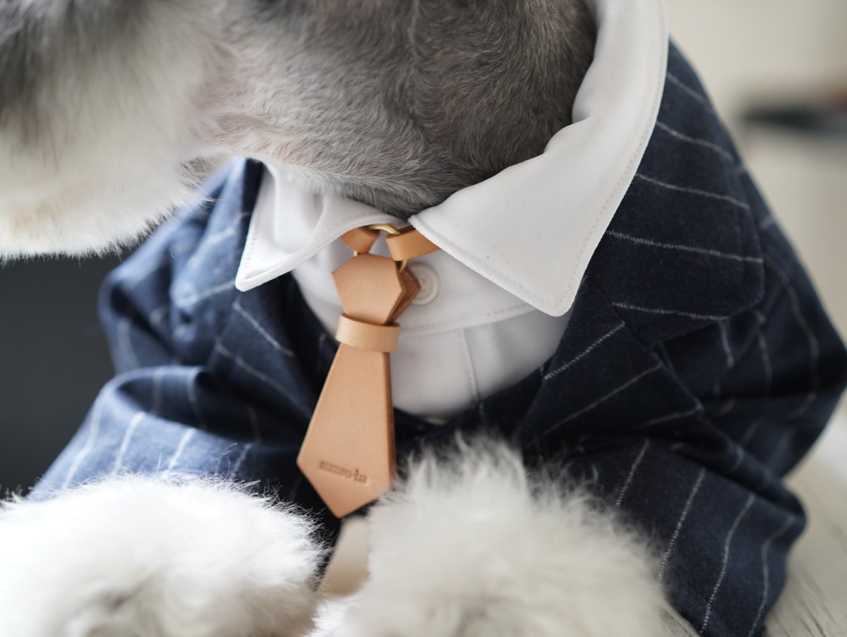 ミニチュアシュナウザーmmsu-ha レザーネクタイネックレス/迷子札/ナチュラル