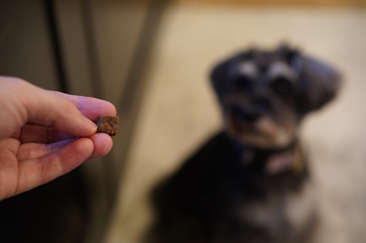 シュナウザーのためのおやつサプリ mmsu-haプレミアム鹿肉ジャーキーストーンクラッシュ