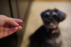 シュナウザーのためのおやつサプリ mmsu-haプレミアム鹿肉ジャーキーストーンクラッシュ
