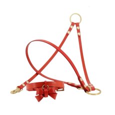 画像1: 【期間限定/Orange Limited】FURICO RIBBON 首輪・リードセット 【レザーオーダー】 (1)