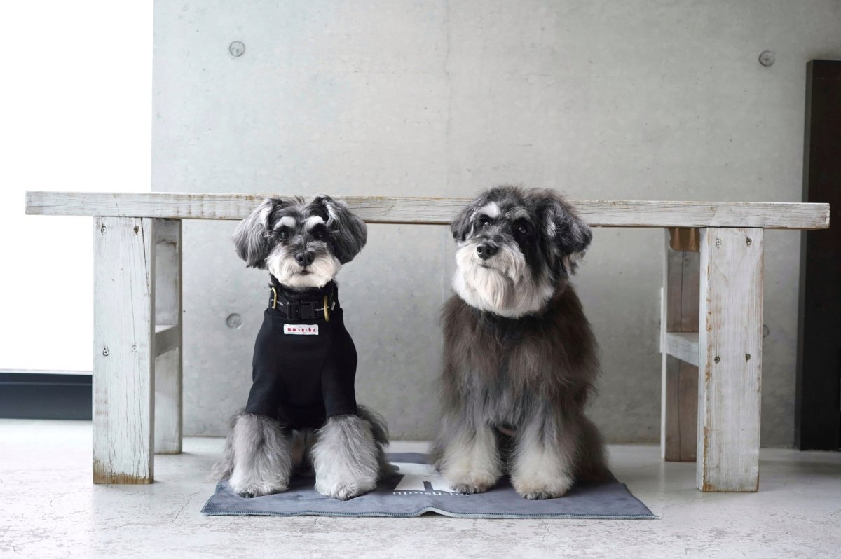 画像3: ブランケット【su-ha kun】 (3)